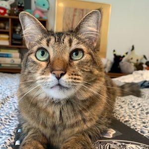 Meet your Posher, Kaye